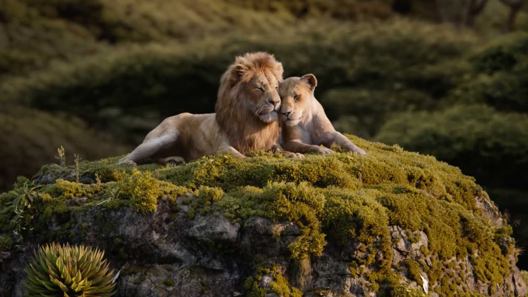 ‘The Lion King’ (2019) Review A Classic Remastered TUC