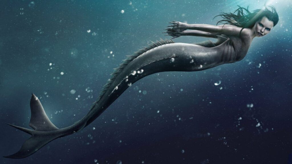 Mermaids Real or Fiction ? TUC
